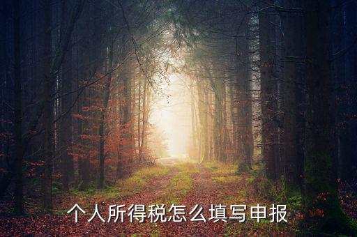 單位如何申報(bào)個(gè)人所得稅，個(gè)人所得稅 工資薪金所得 怎么申報(bào)