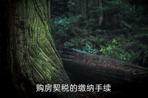如何繳納契稅，購房契稅的繳納手續(xù)
