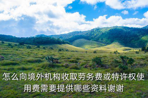 特許權(quán)使用費(fèi)如何申報(bào)，支付的特許權(quán)使用費(fèi)收入開什么發(fā)票