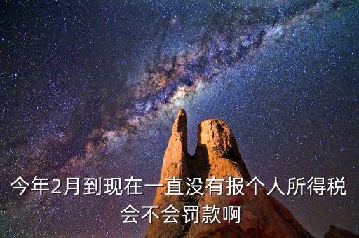 個稅申報(bào)不報(bào)會如何，個人所得稅自行申報(bào)不去做有什么危害