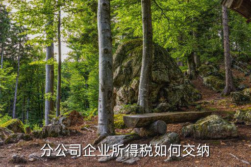分公司所得稅如何繳納，分公司企業(yè)所得稅怎么繳納