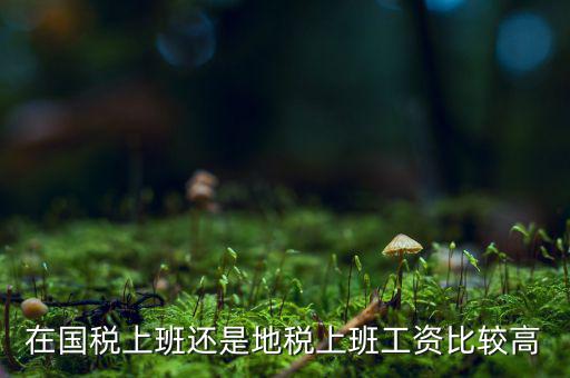地稅局發(fā)展如何，我要考天津稅務(wù)局想問市區(qū)各地稅局和濱海地稅一分局哪個(gè)好呢