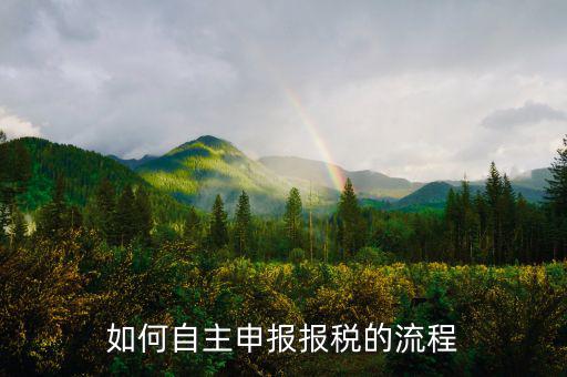 如何進(jìn)行稅務(wù)申報(bào)，個體戶如何申報(bào)稅