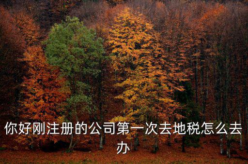 新辦企業(yè)如何辦地稅，新辦企業(yè)去地稅報(bào)道需要帶什么手續(xù)