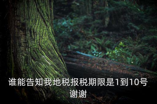 地稅的報稅期是什么時候，地稅中的年度財務(wù)報表申報期限是什么時候
