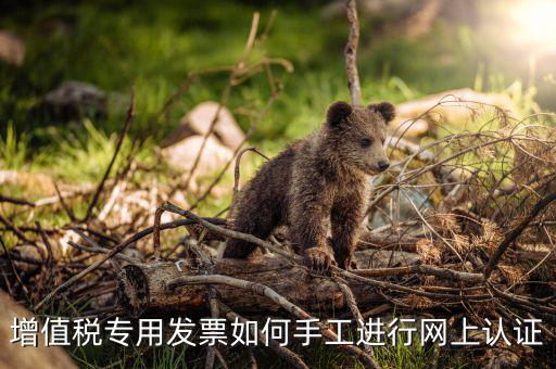 如何手工認證發(fā)票，網上發(fā)票認證怎么手工輸入