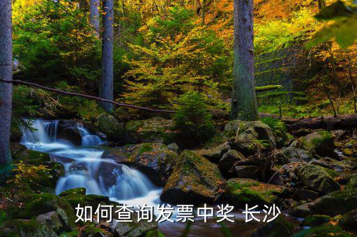 如何查詢(xún)發(fā)票中獎(jiǎng) 長(zhǎng)沙