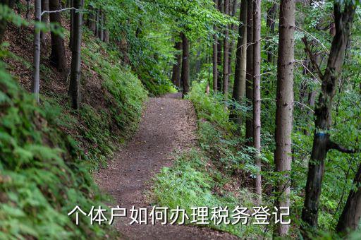 個體戶如何辦理稅務登記