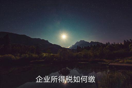 企業(yè)所得稅如何繳稅，企業(yè)所得稅如何繳納