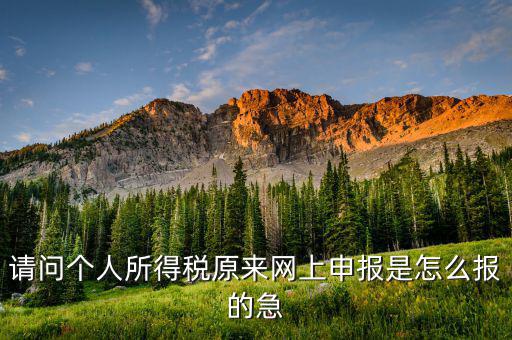 個(gè)人所得稅如何網(wǎng)上申報(bào)，個(gè)人所得稅網(wǎng)上申報(bào)流程