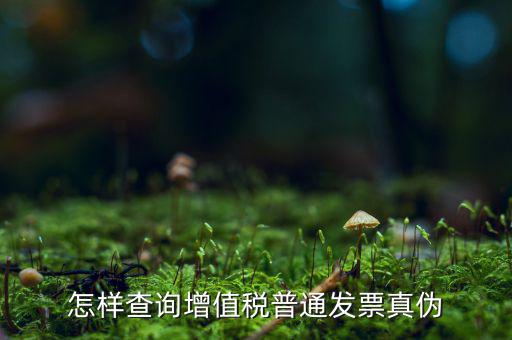 稅務(wù)局如何查發(fā)票真假，如何查稅務(wù)發(fā)票真假