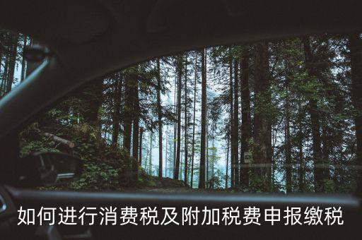 附加稅如何才能申報，如何進(jìn)行消費(fèi)稅及附加稅費(fèi)申報繳稅