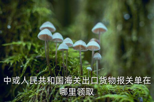 出口報關單如何取得，中或人民共和國海關出口貨物報關單在哪里領取