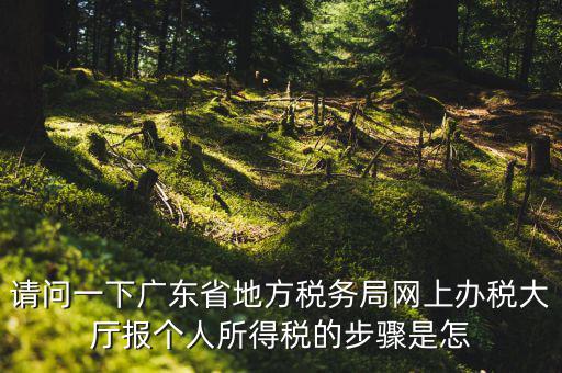 廣州地稅如何網(wǎng)上申報，想請教如何辦理廣州地稅網(wǎng)上申報