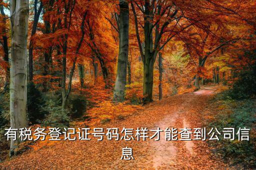 如何查詢公司稅務(wù)信息，怎么用稅證號(hào)碼查詢企業(yè)信息