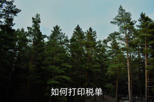 公司稅單如何查詢打印，關(guān)于公司稅單打印問(wèn)題