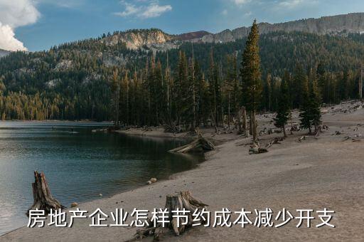房地產企業(yè)是如何虛列加大成本費用的，大公司是如何處理加大成本費用的