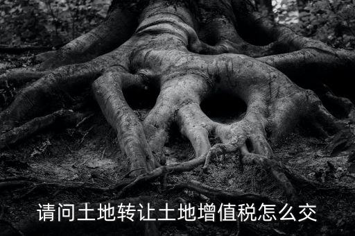 土地增值稅如何繳納，請(qǐng)問土地轉(zhuǎn)讓土地增值稅怎么交