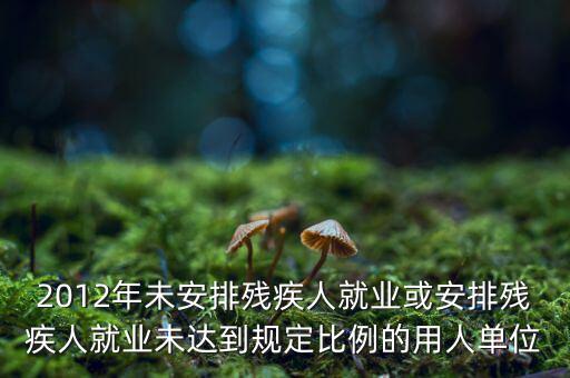 殘保金如何計算，2012年未安排殘疾人就業(yè)或安排殘疾人就業(yè)未達(dá)到規(guī)定比例的用人單位