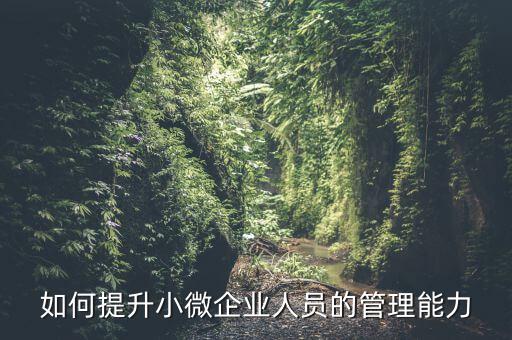 如何加強小型微利企業(yè)管理，如何提升小微企業(yè)人員的管理能力