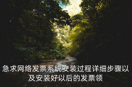 急求網絡發(fā)票系統安裝過程詳細步驟以及安裝好以后的發(fā)票領