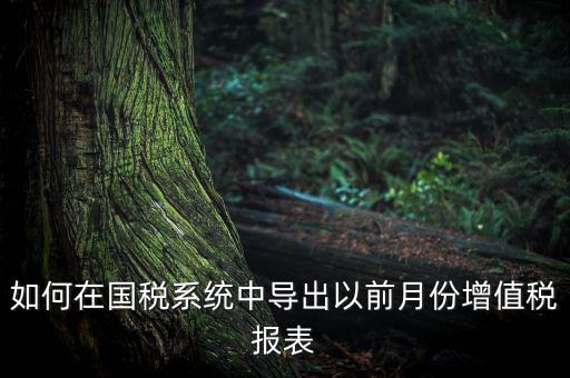如何導出增值稅申報表，如何在國稅系統(tǒng)中導出以前月份增值稅報表