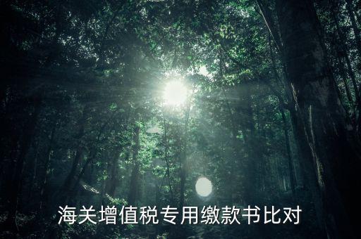 海關進口增值稅專用繳款書如何比對，海關增值稅專用繳款書比對
