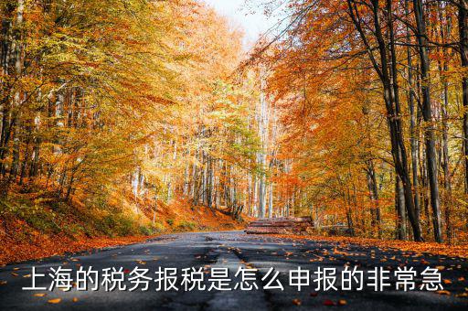 上海市國地稅如何申報，上海地稅是網(wǎng)上報稅嗎采取什么方式申報