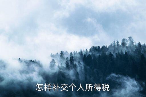 如何補交個人所得稅，如何用個人所得稅扣繳系統(tǒng)補繳稅款