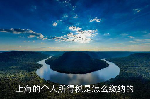 上海個(gè)人所得稅如何繳納，上海個(gè)人所得稅的繳納急