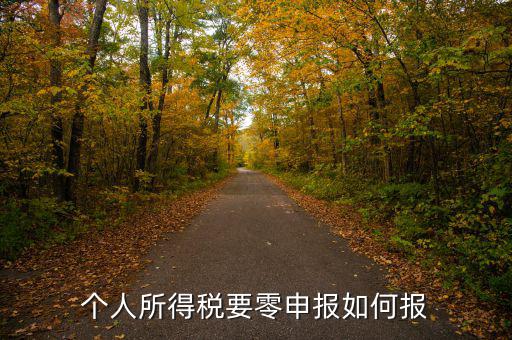 個人所得稅要零申報(bào)如何報(bào)