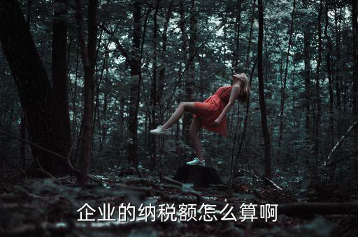 企業(yè)納稅如何計(jì)算，企業(yè)的納稅額怎么算啊