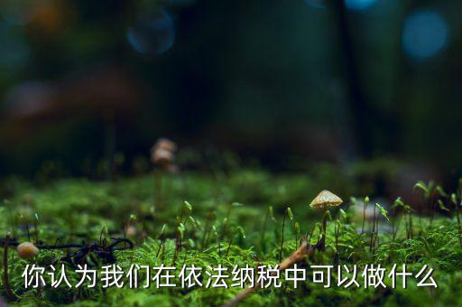 如何做到依法納稅，你認(rèn)為我們在依法納稅中可以做什么