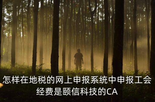 工會(huì)經(jīng)費(fèi)如何網(wǎng)上申報(bào)，怎樣在地稅的網(wǎng)上申報(bào)系統(tǒng)中申報(bào)工會(huì)經(jīng)費(fèi)是頤信科技的CA
