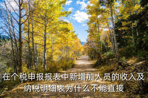 個稅申報如何增加新納稅人，在個稅申報報表中新增加人員的收入及納稅明細表為什么不能直接