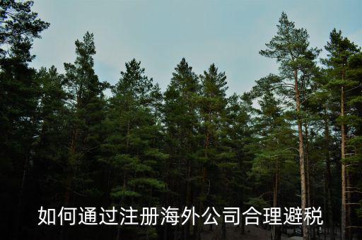 在境外注冊子公司如何避所得稅，離岸公司如何避個稅
