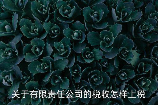 有限責(zé)任公司如何繳稅，有限責(zé)任公司是如何納稅的要繳納的稅種都有哪些