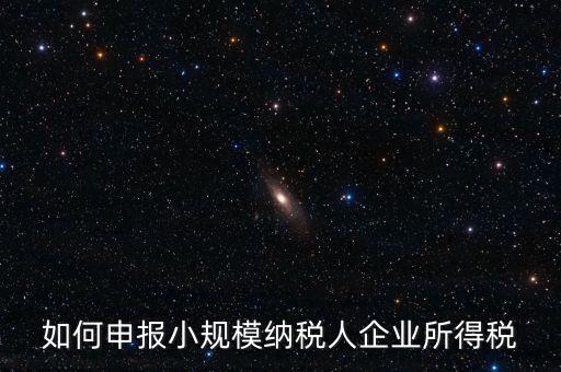 小規(guī)模納稅人如何報(bào)企業(yè)所得稅，如何申報(bào)小規(guī)模納稅人企業(yè)所得稅