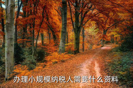 小規(guī)模納稅人如何辦理，小規(guī)模廠如何辦理一般納稅人
