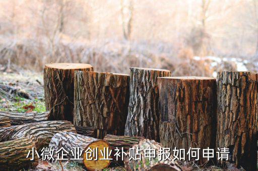 小型微利企業(yè)如何申請社保補貼，小微企業(yè)補貼怎么申請