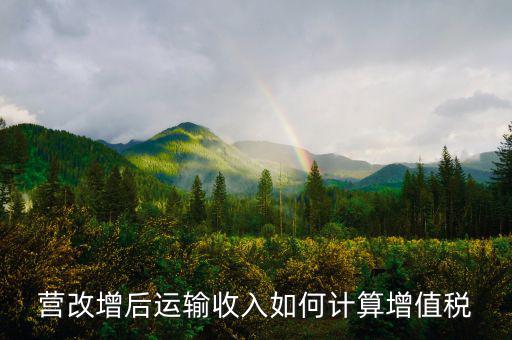 運(yùn)輸業(yè)增值稅如何計算，道路運(yùn)輸業(yè)的一般納稅人增值稅如何計算