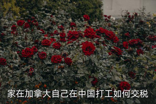 加拿大如何征稅，注冊加拿大公司怎么報(bào)稅
