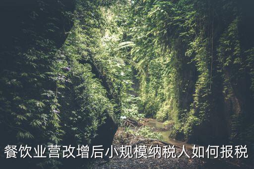 營改增后小規(guī)模納稅人如何報稅，營改增后小規(guī)模的怎么報稅