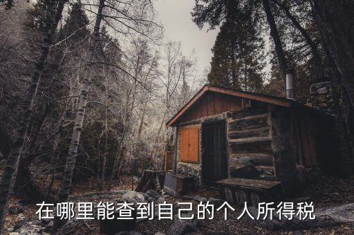 個(gè)人所得稅如何查，怎么查個(gè)人所得稅