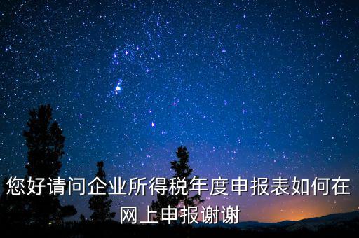 公司如何網(wǎng)絡(luò)申報(bào)表，新手請(qǐng)教企業(yè)所得稅年度納稅申報(bào)表在網(wǎng)上如何申報(bào)