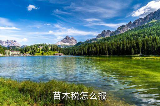 苗木增值稅免稅如何申報，苗木稅怎么報