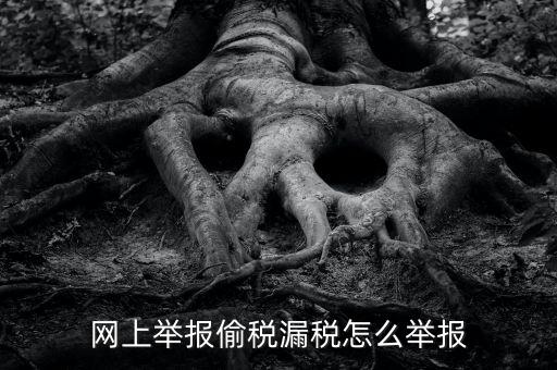 如何網(wǎng)上稅務(wù)舉報，網(wǎng)上舉報偷稅漏稅怎么舉報