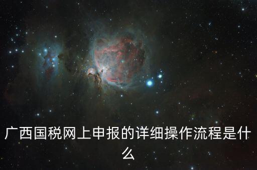 廣西國(guó)稅地稅如何網(wǎng)上申報(bào)系統(tǒng)，國(guó)稅網(wǎng)上怎么申報(bào)