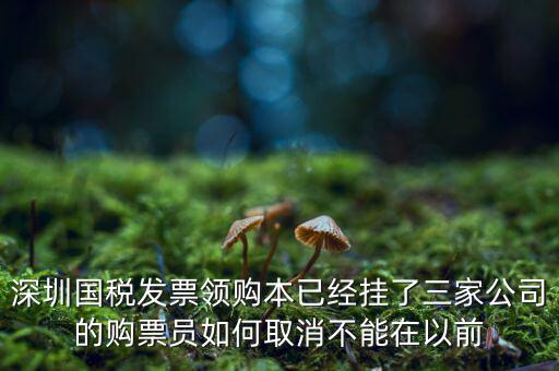 如何取消稅務局購票人，國稅如何刪除購票人
