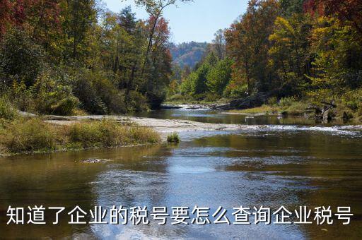 國(guó)際企業(yè)稅號(hào)如何查詢系統(tǒng)，美國(guó)客戶的稅號(hào)怎么網(wǎng)上查嗎